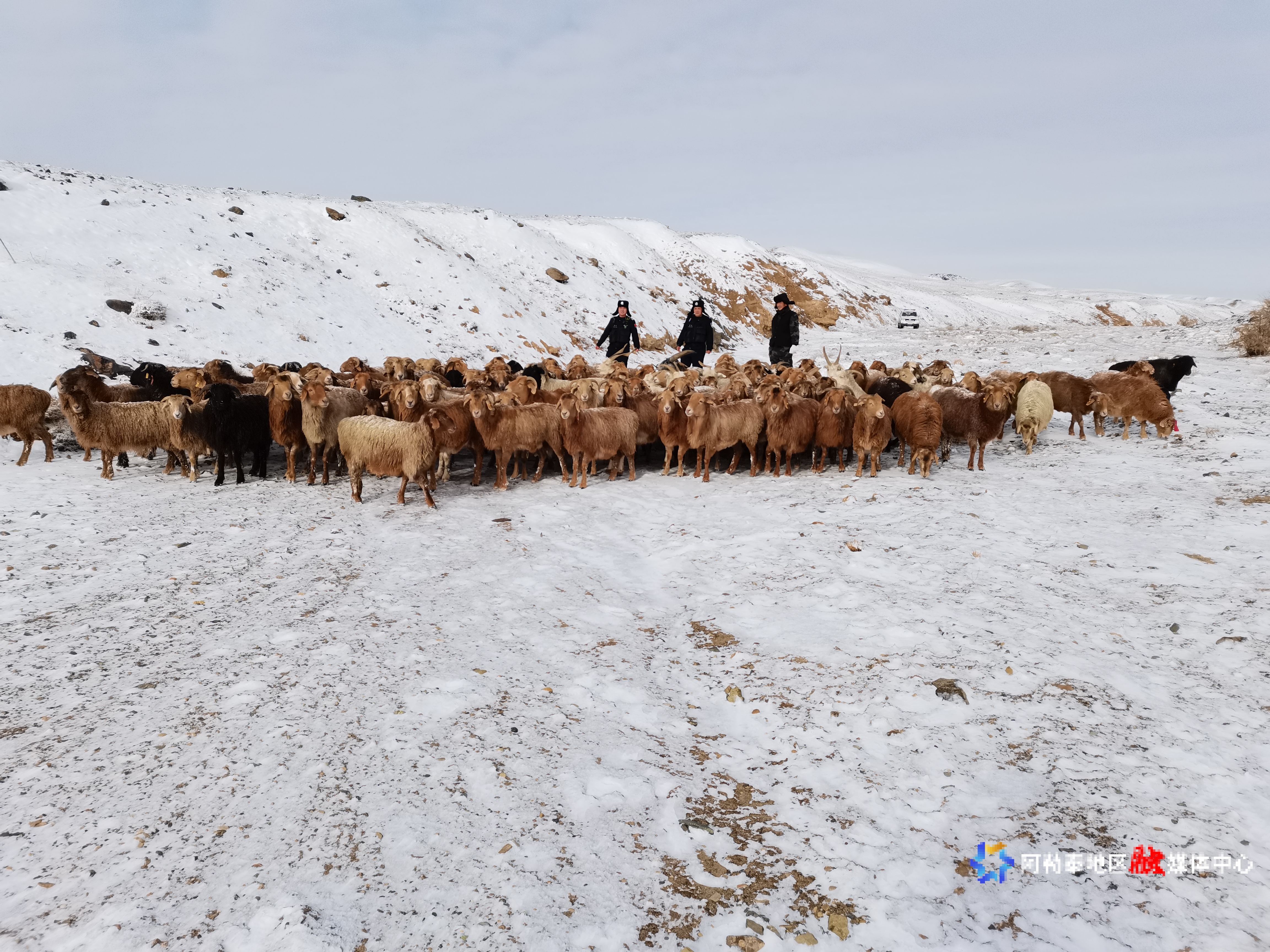 mmexport1763279952157