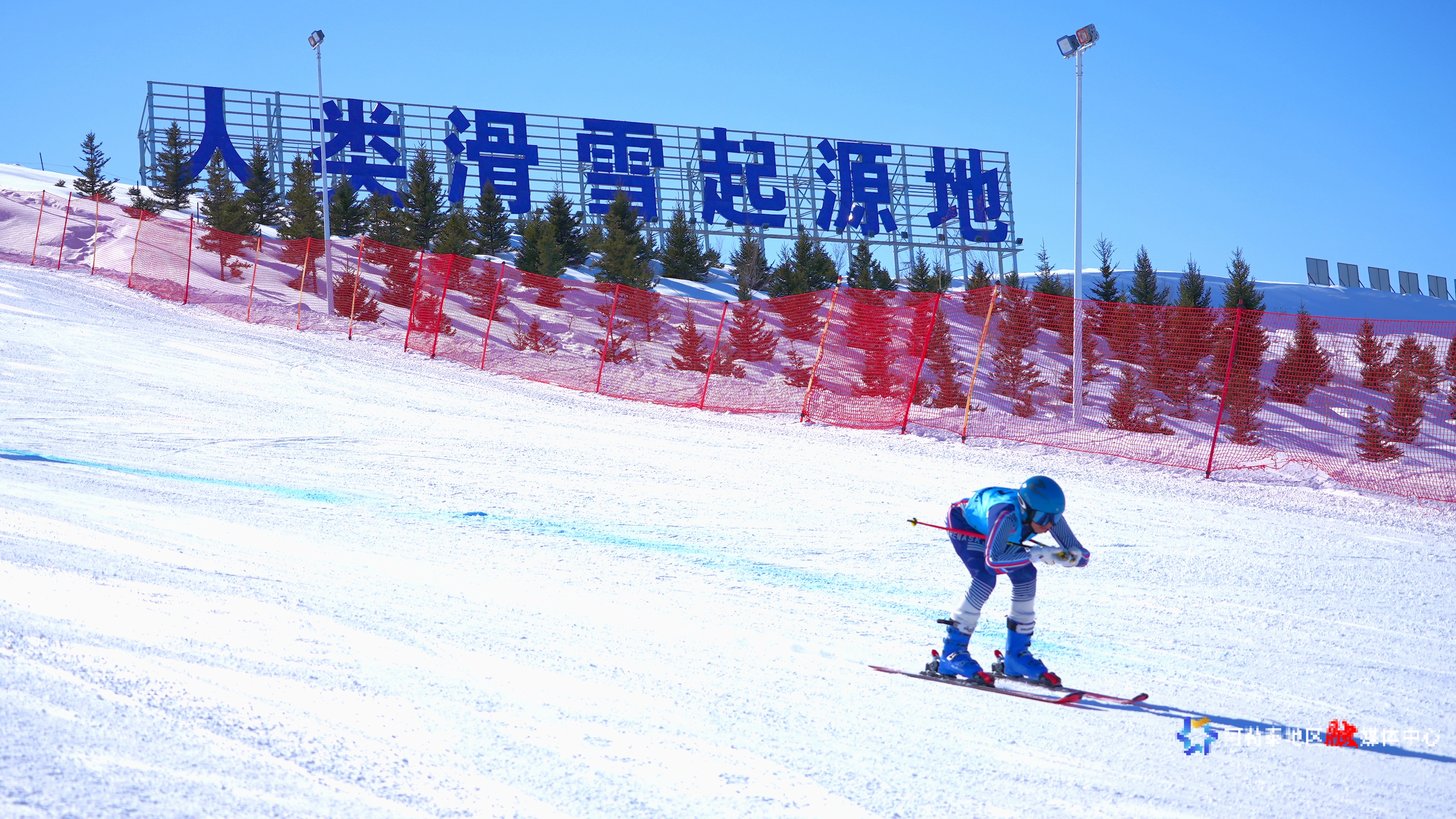 Image_1772876040061_452